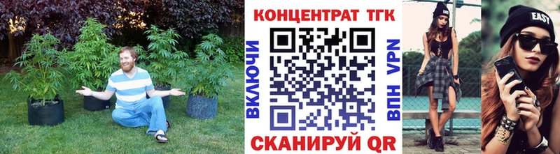 Купить закладки  Буинск  ТГК Wax 